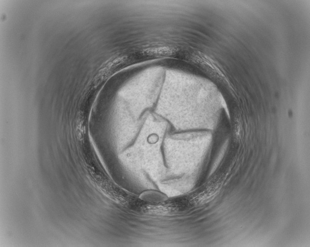 X0000059250259200511041341