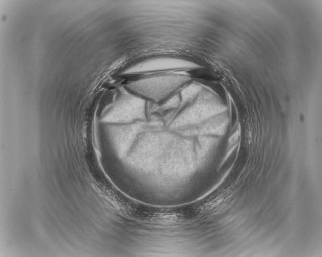 X0000059250260200511041341