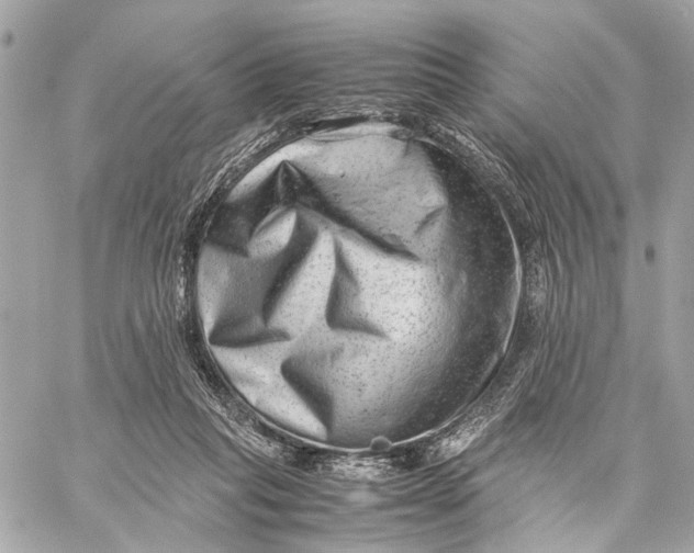 X0000059250261200511041341