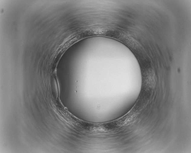 X0000059250262200511041341