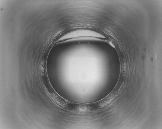 X0000059250264200511041341