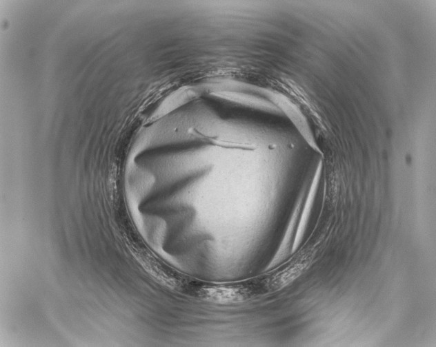 X0000059250265200511041341