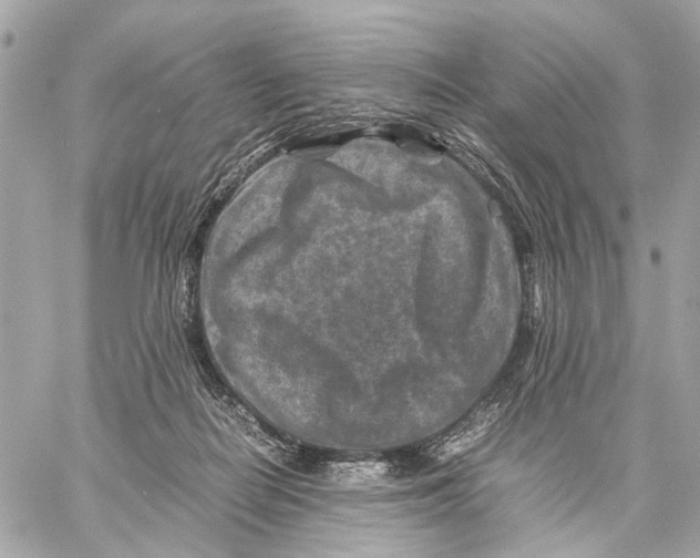 X0000059250266200511041341