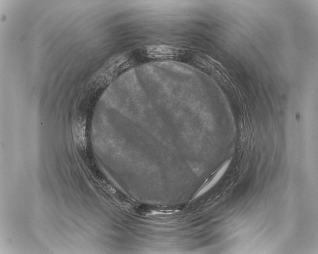 X0000059250267200511041341