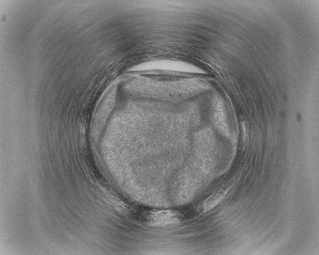 X0000059250269200511041341