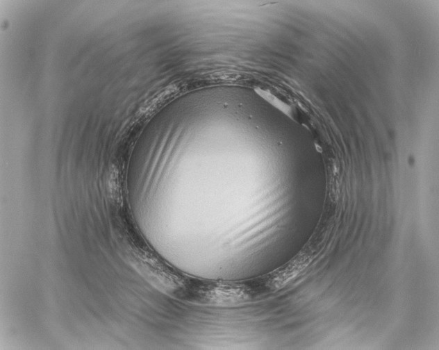 X0000059250270200511041341