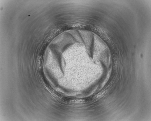 X0000059250273200511041341