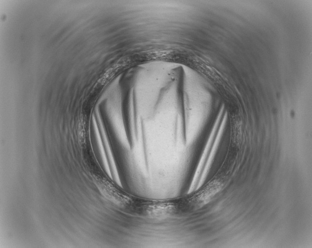 X0000059250274200511041341