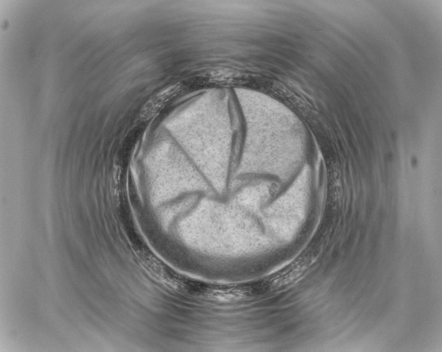 X0000059250275200511041341