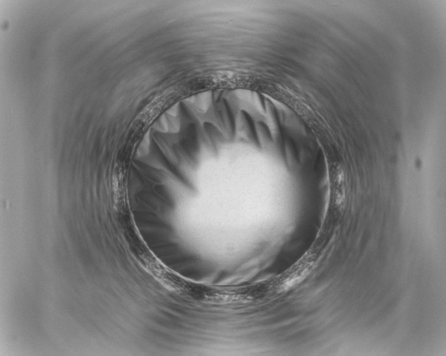 X0000059250276200511041341