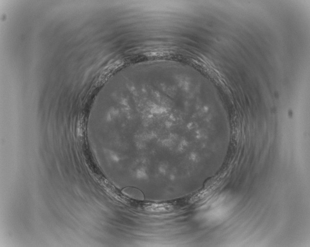 X0000059250277200511041342