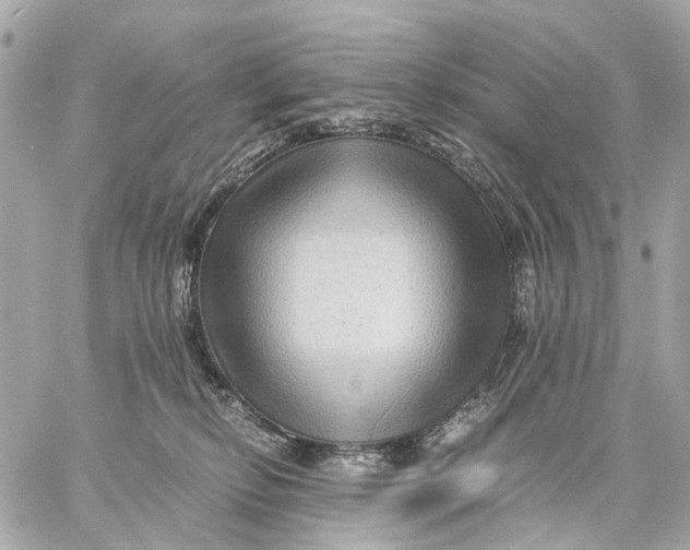 X0000059250278200511041342