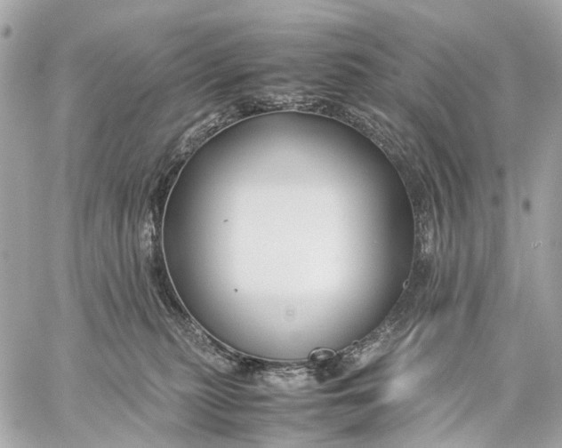 X0000059250279200511041342