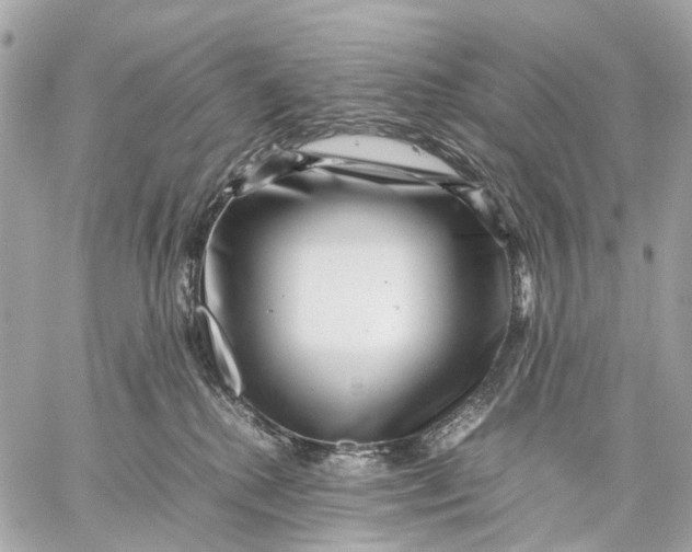 X0000059250280200511041342