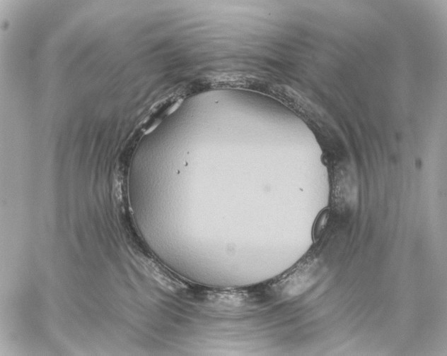 X0000059250282200511041342