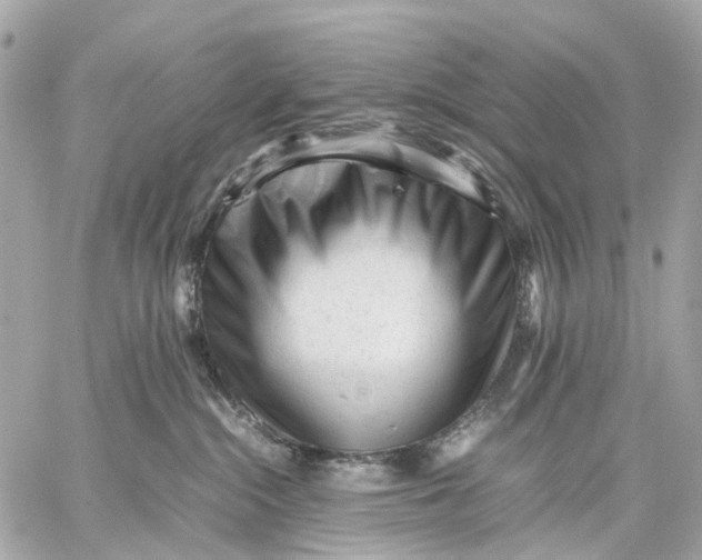 X0000059250284200511041342