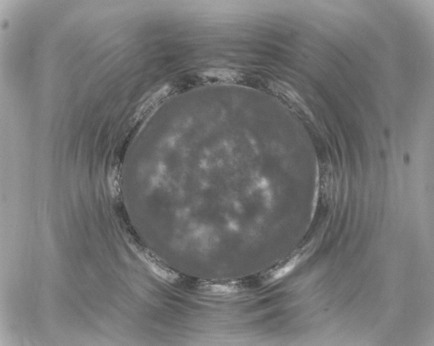 X0000059250285200511041342