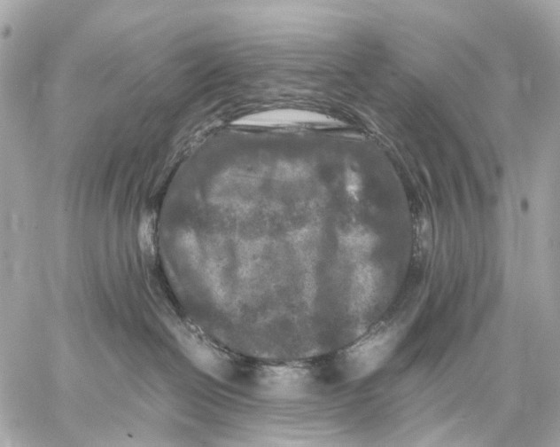 X0000059250286200511041342