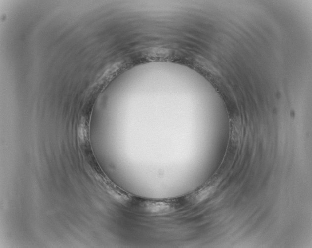 X0000059250287200511041342