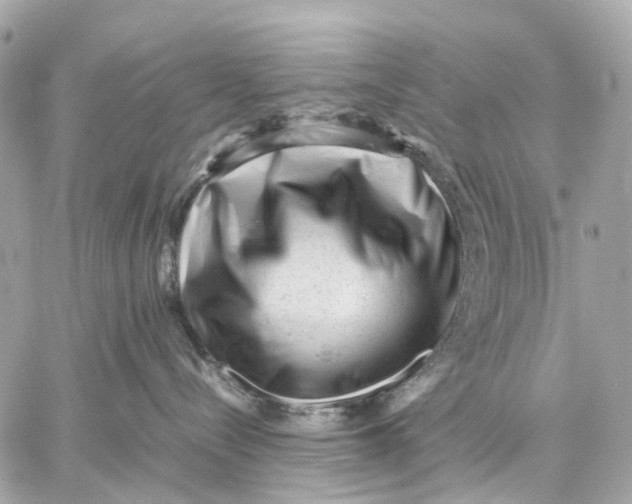 X0000059250288200511041342