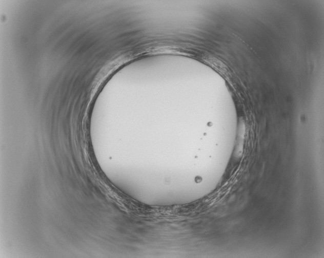 X0000059250289200511041341