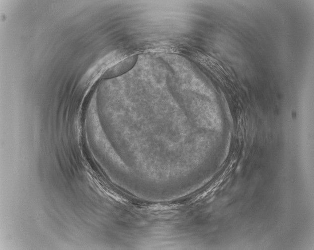 X0000059250290200511041341