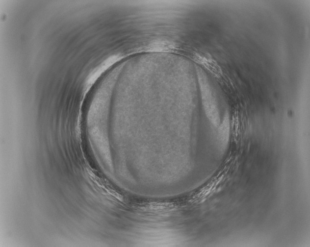 X0000059250292200511041341