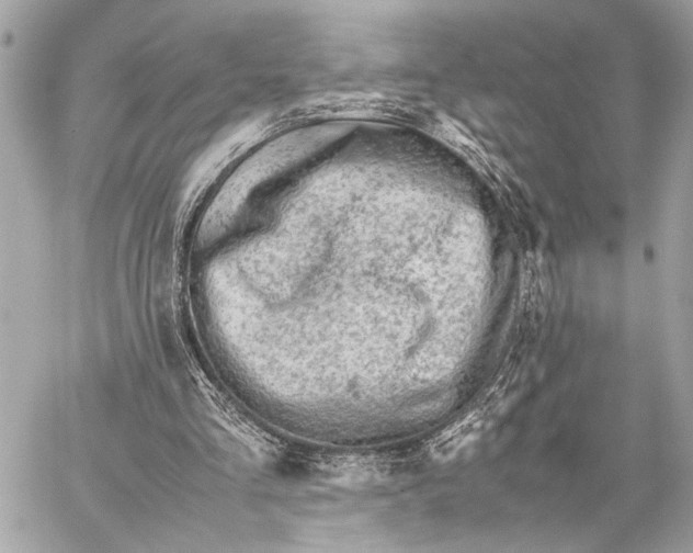 X0000059250293200511041341