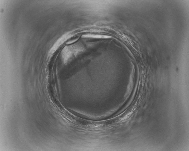 X0000059250295200511041341