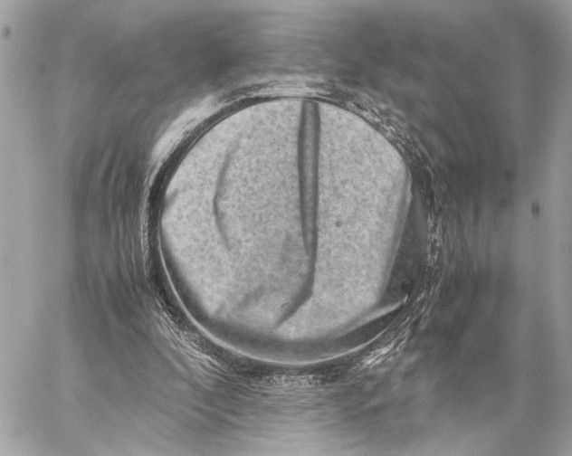 X0000059250296200511041341