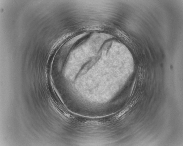 X0000059250298200511041341