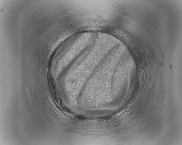 X0000059250299200511041341