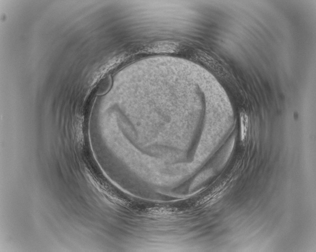 X0000059250300200511041341