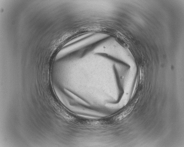 X0000059250301200511041341