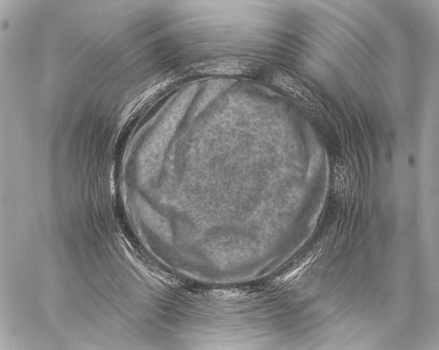 X0000059250302200511041341