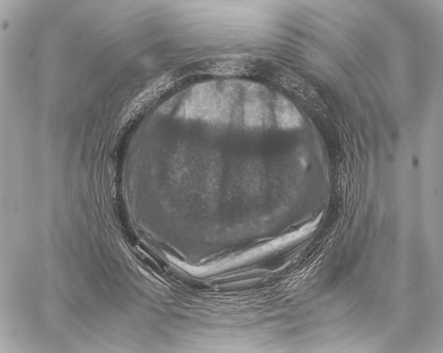 X0000059250303200511041341