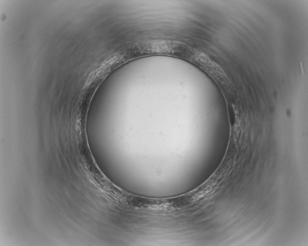 X0000059250306200511041341