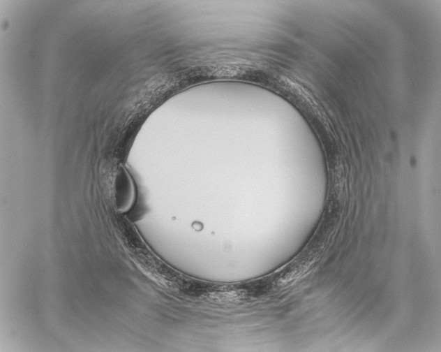 X0000059250307200511041341