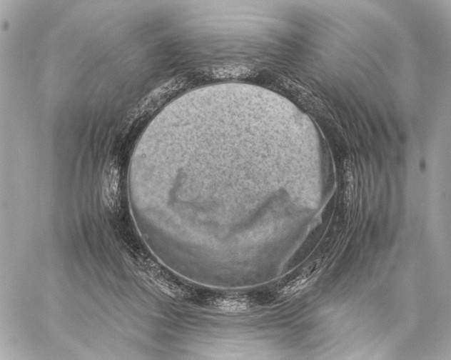 X0000059250308200511041341