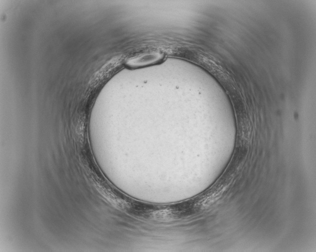 X0000059250309200511041341