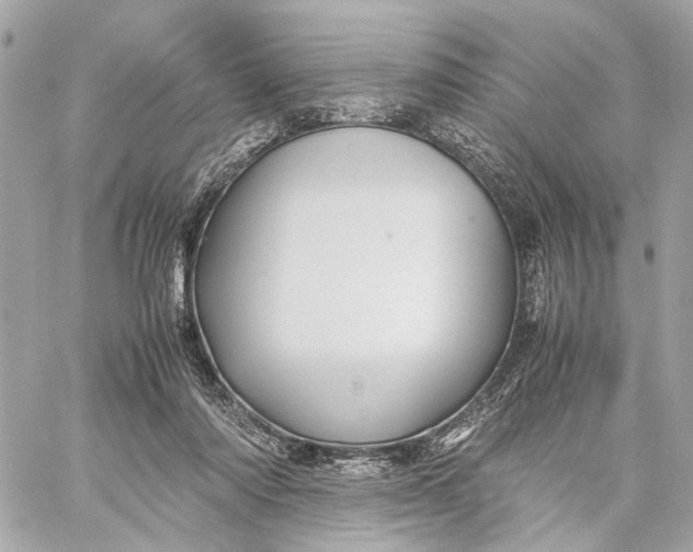 X0000059250310200511041341