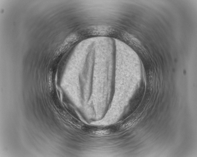 X0000059250312200511041341