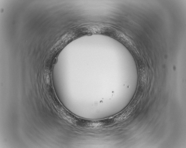 X0000059250313200511041340