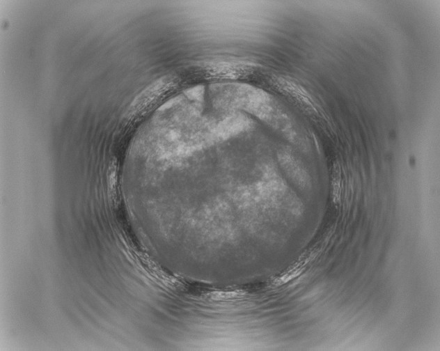 X0000059250314200511041340