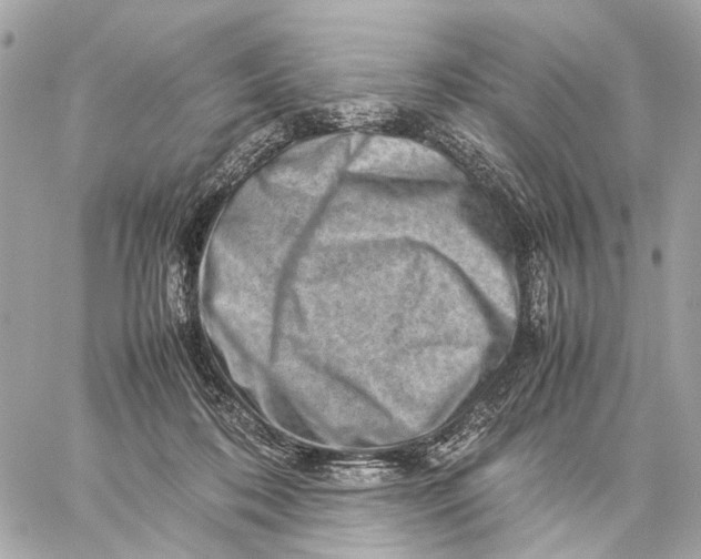 X0000059250316200511041340