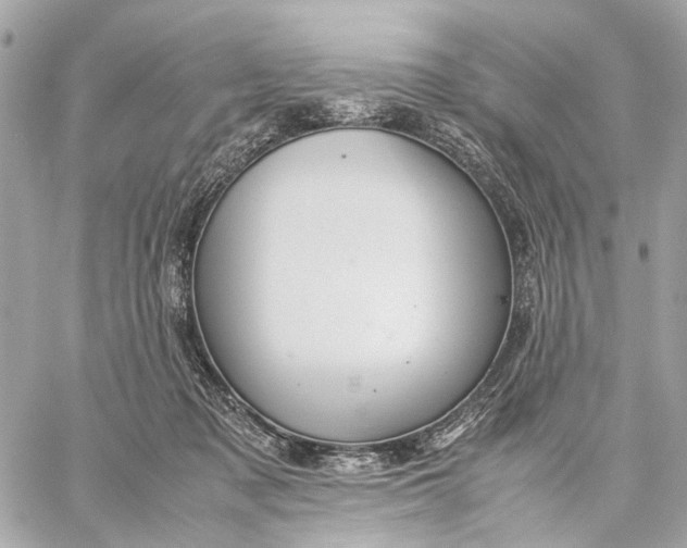 X0000059250317200511041340