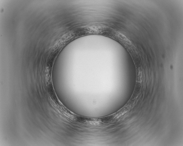 X0000059250318200511041340