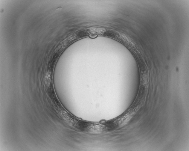 X0000059250321200511041340