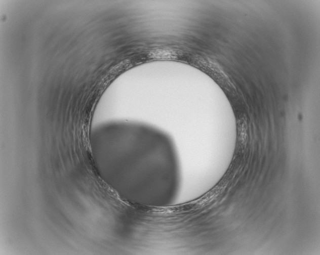 X0000059250322200511041340