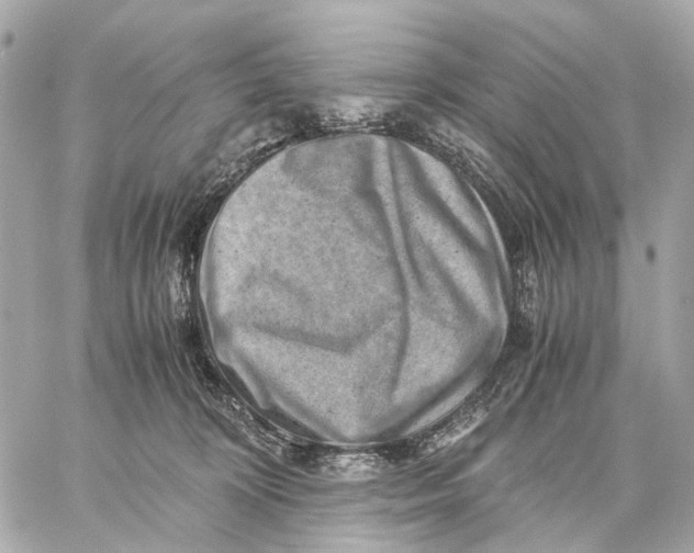 X0000059250324200511041340